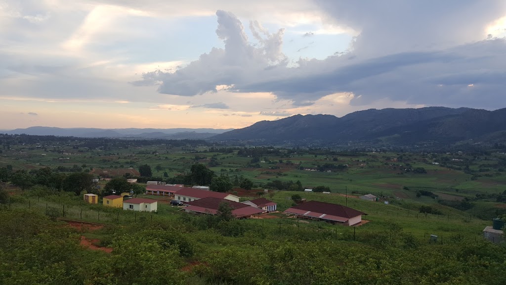 Manzini