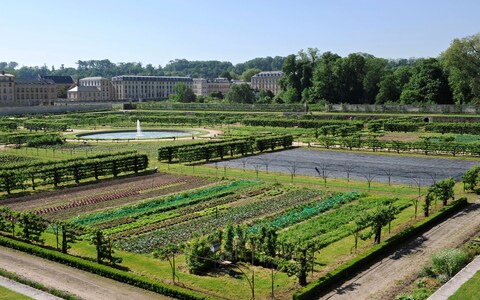 O Jardim do Rei em Versalhes