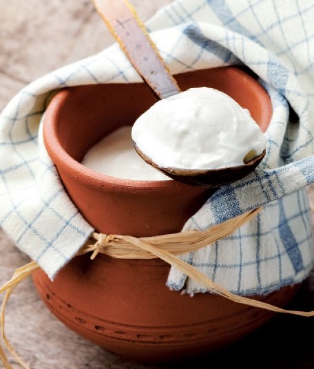 Iogurte búlgaro_Bacillus Bulgaricus