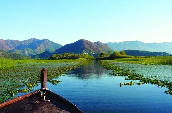 Lago Shkodër na Albânia