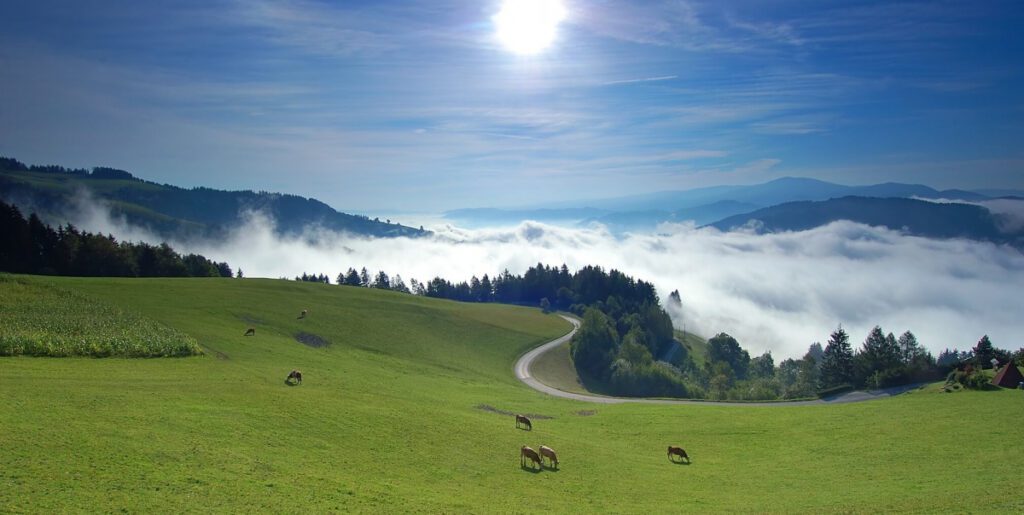 A região de Koroška na Eslovênia - Fonte: I feel Slovenia