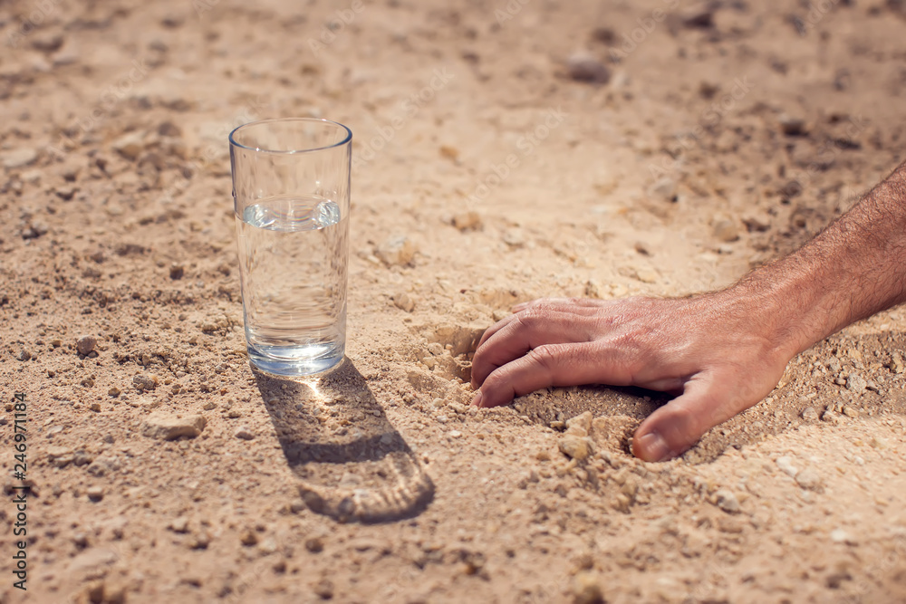 Beba água no Egito - Adobe Stock
