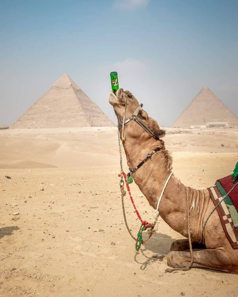 Calor do deserto do Egito - Medium