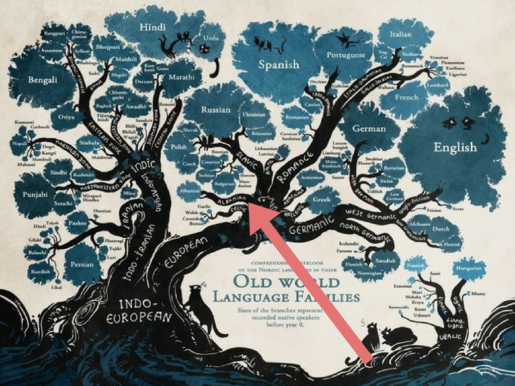 Árvore genealógica da origem das línguas - Fonte: Lexody