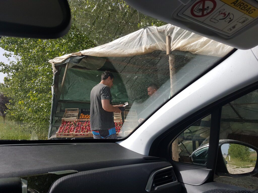 Barracas de morango nas estradas da Albânia: deliciosos e imperdíveis!