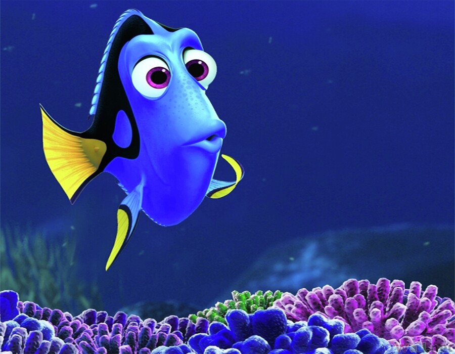 Dory - Grand Forks Herald