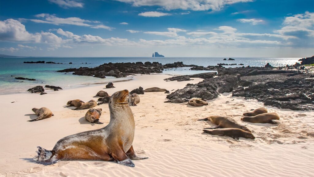 Ilha de Galápagos - Luxury Escapes