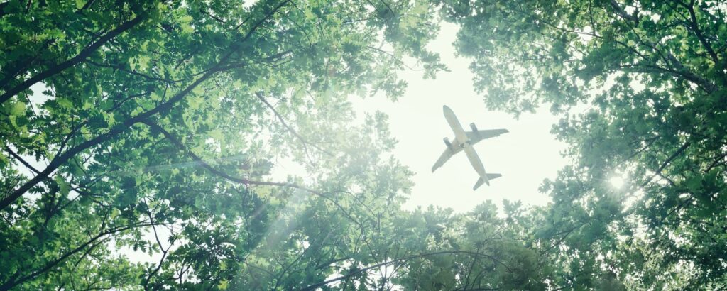 Preocupação do Eco Explorador com as opções de viagem - Ireland.com