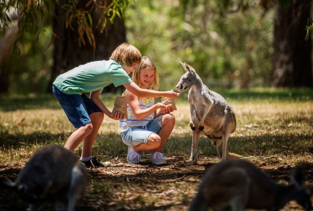 Sidney Austrália com crianças - Holidays with Kids