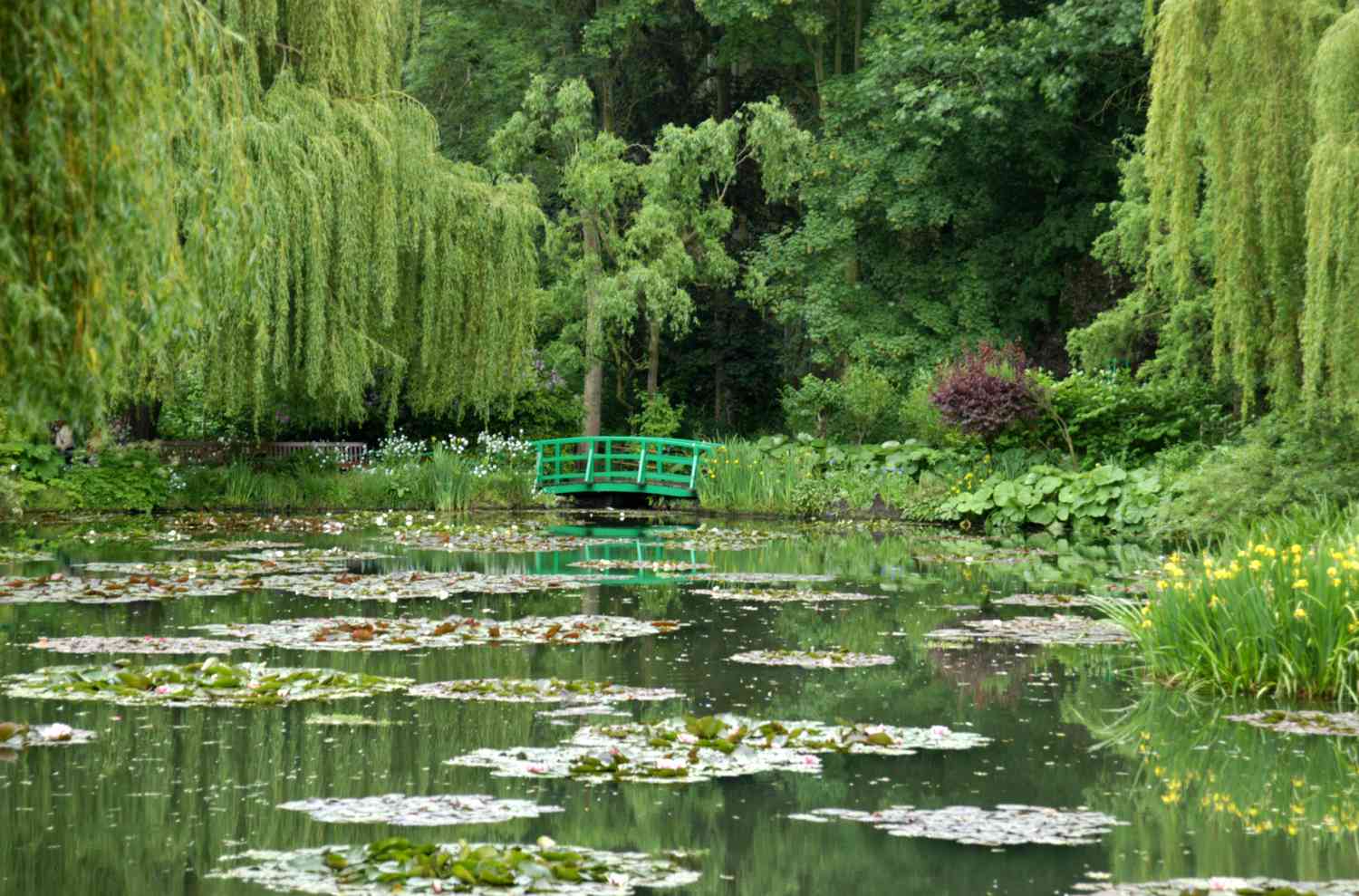 Jardim de Monet em Giverny França - TripSavvy