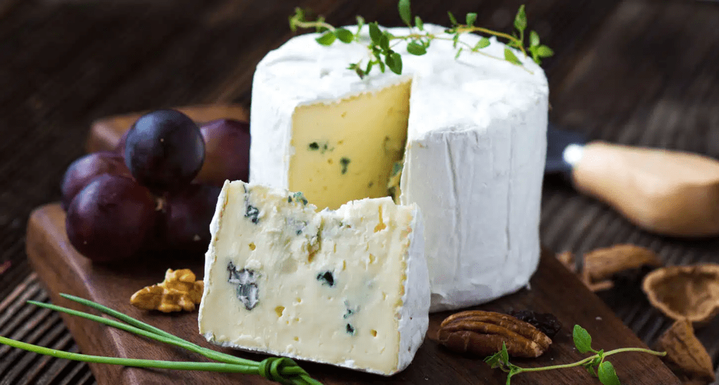 Queijos azuis franceses: Bleu de Bresse - MGC Prevention Sante