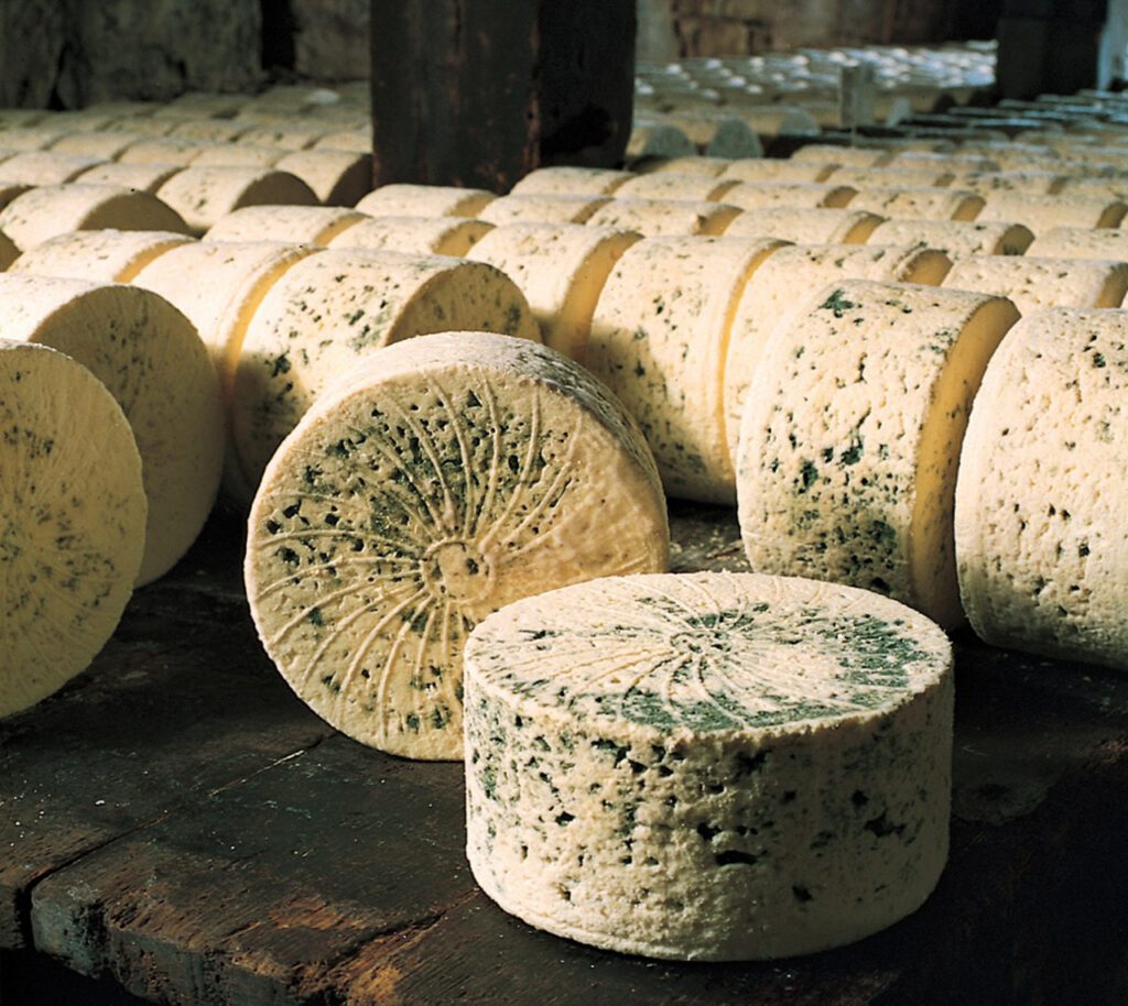 Queijos azuis franceses: Bleu de Causses - Qualigeo