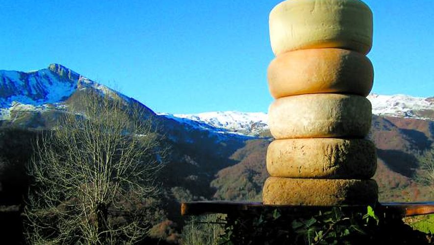 Queijo Frances de Montanha - La Depeche