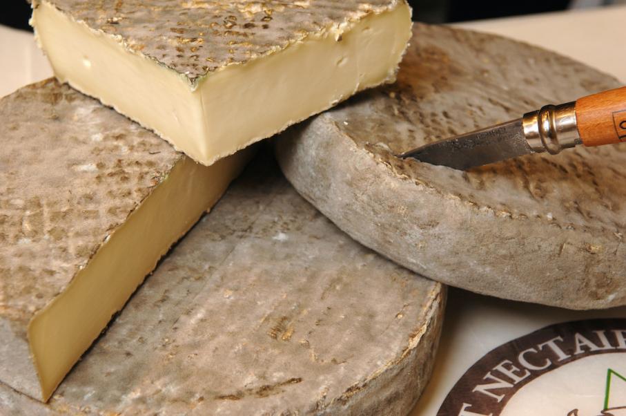 Queijo Saint-Nectaire - Ministere de l'Agriculture