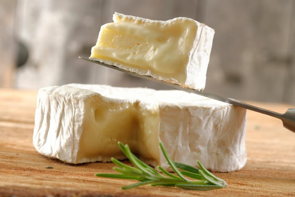 Queijos franceses de massa mole: Camembert - Le JSL