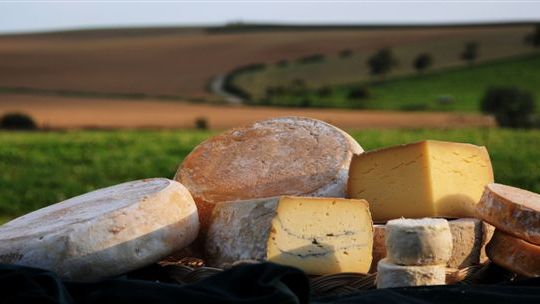 Queijo frances de planicie - Radio France