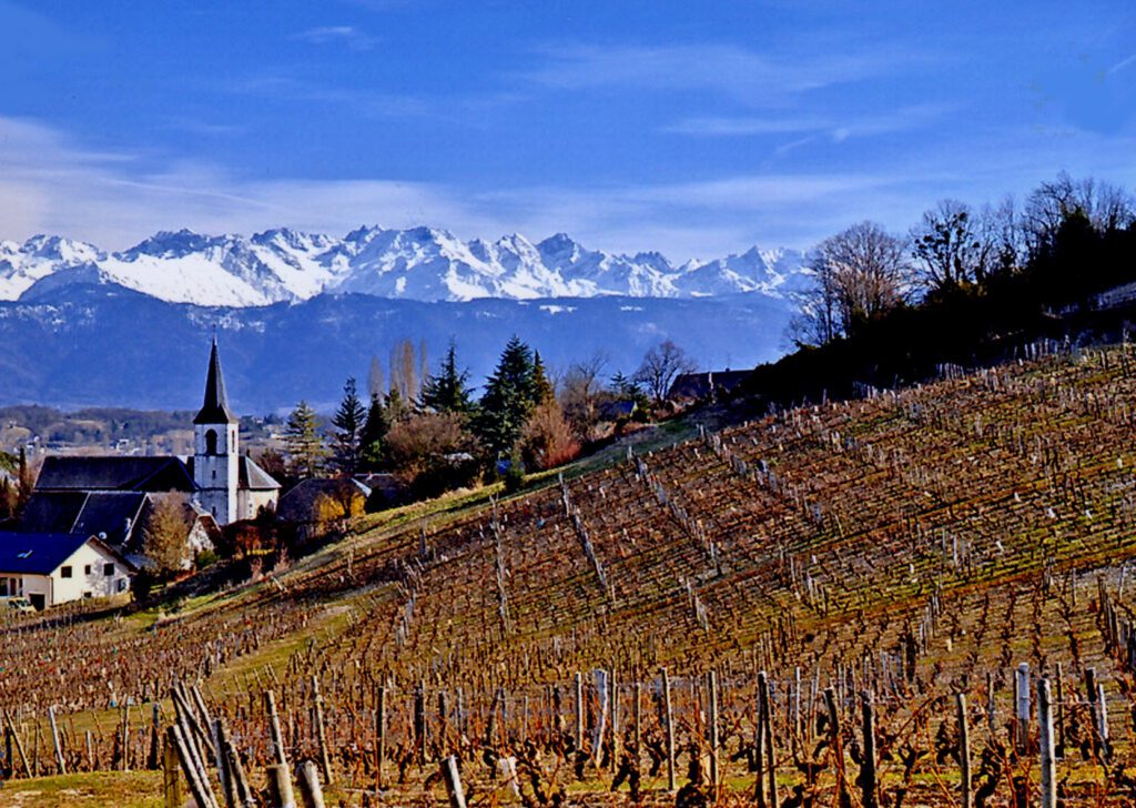 Região de Savóia - GuildSomm