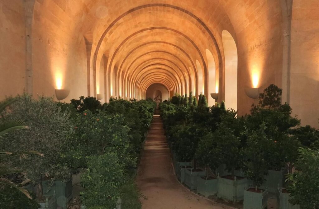Orangerie dos Jardins de Versalhes - Le Parisien