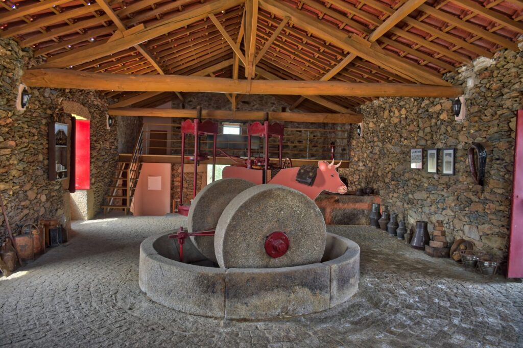 Antigos lagares de azeite Portugal - Quinta do Barracão da Vilariça