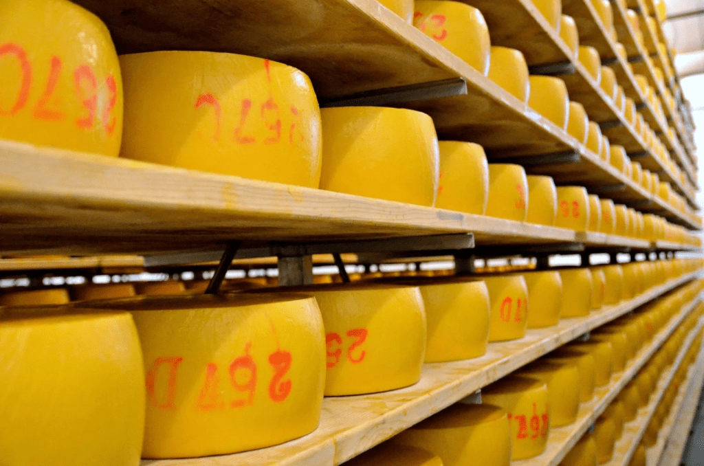 Queijo São Jorge Portugal - byAçores