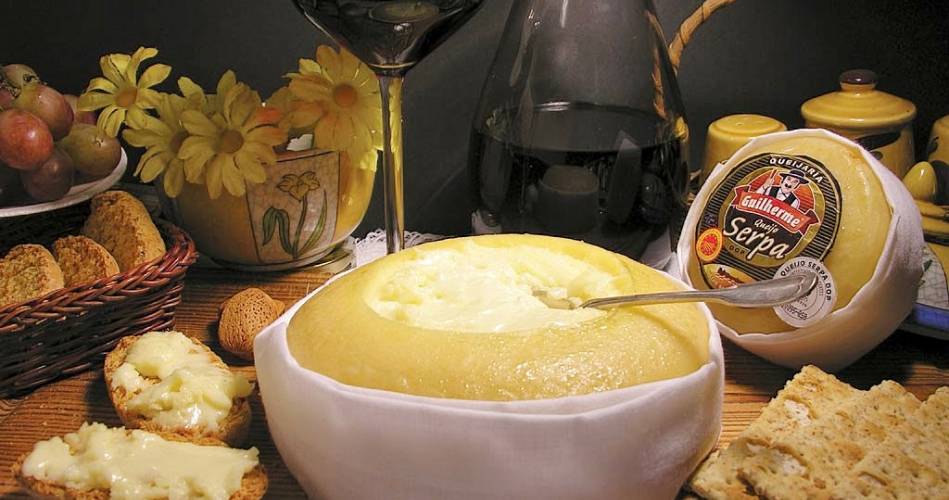 Queijo Serpa portugal - Tribuna Alentejo