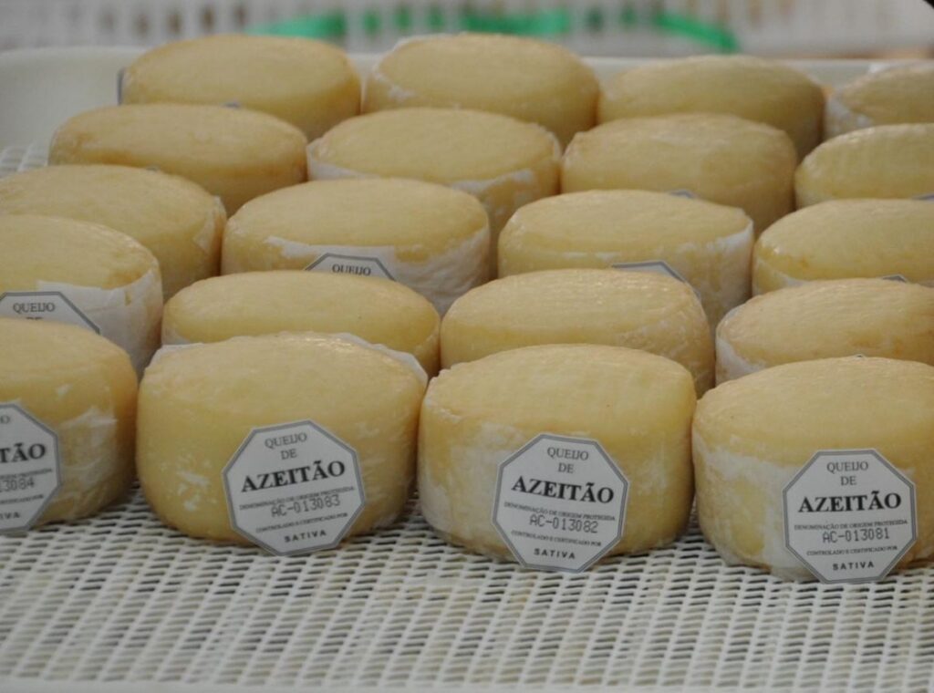 Queijo de Azeitão - Victor Fernandes Queijaria
