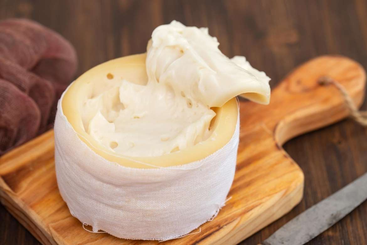 Queijo Serra da Estrela: um dos mais famosos queijos portugueses - Your Food Travel Agency