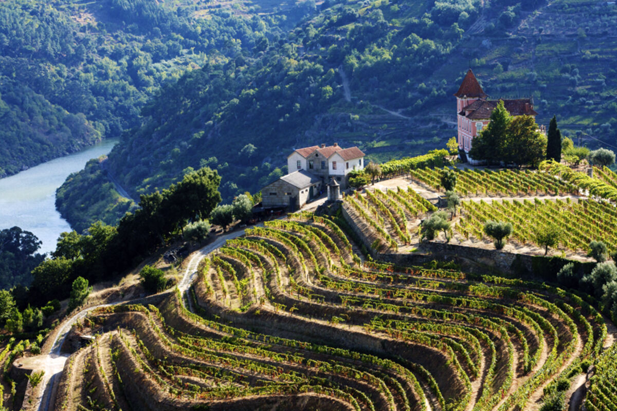 Vinhos de Portugal - Wine International Association WIA