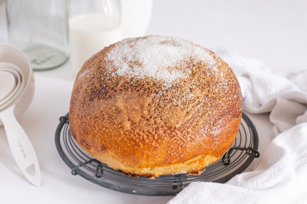 Panquemado Espanha - Bon Viveur