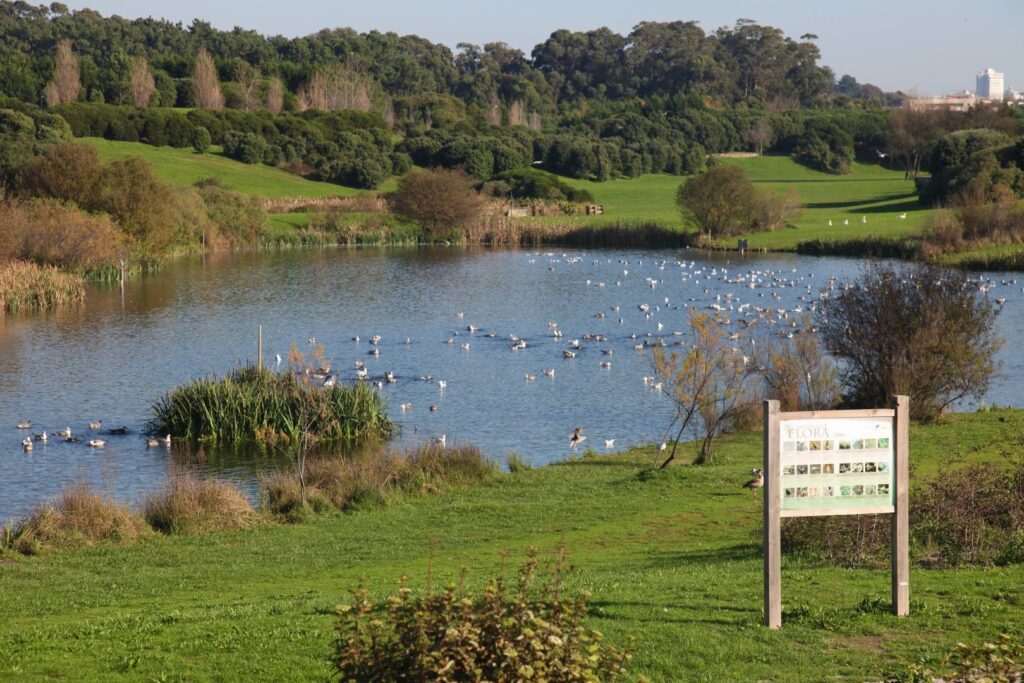 Parque da Cidade do Porto - All About Portugal