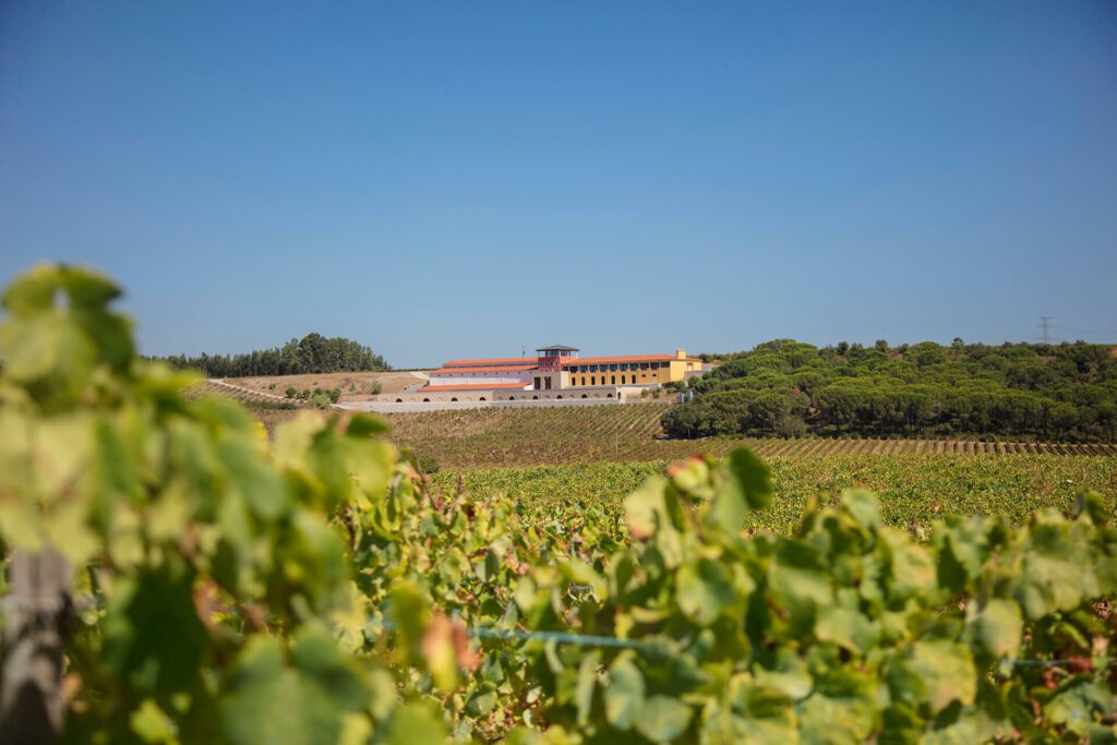 Vinhos de Bairrada Portugal - Portugal By Wine