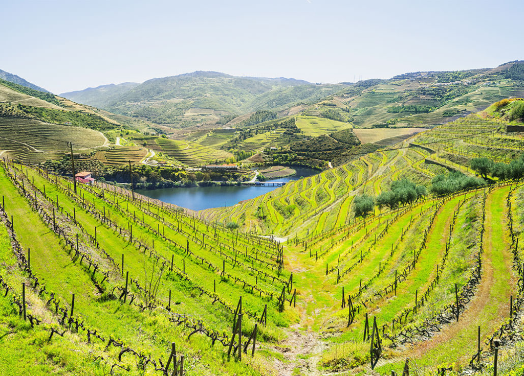 Vinhos de Tavora Varosa - Portugal By Wine