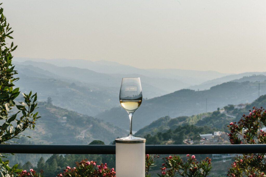 Vinhos de Vinho Verde Portugal - WineTourism