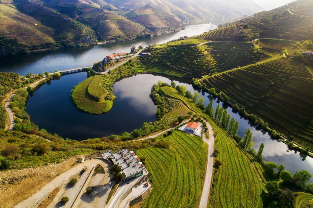 Vinhos do Douro Portugal - Wine & Food Travel Blog