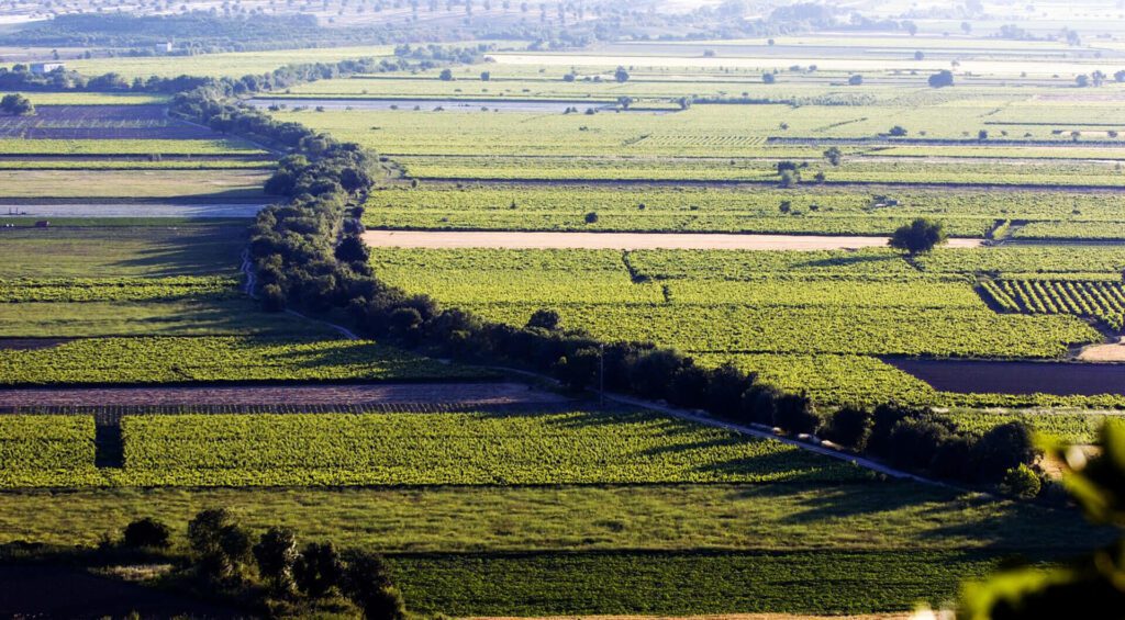 Vinhos do Tejo - Portugal By Wine