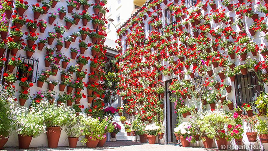 As cores dos pátios de Córdoba - elDiario.es