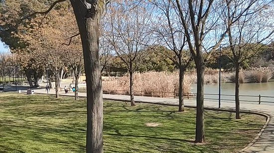 Parque Miraflores Sevilha - TripAdvisor