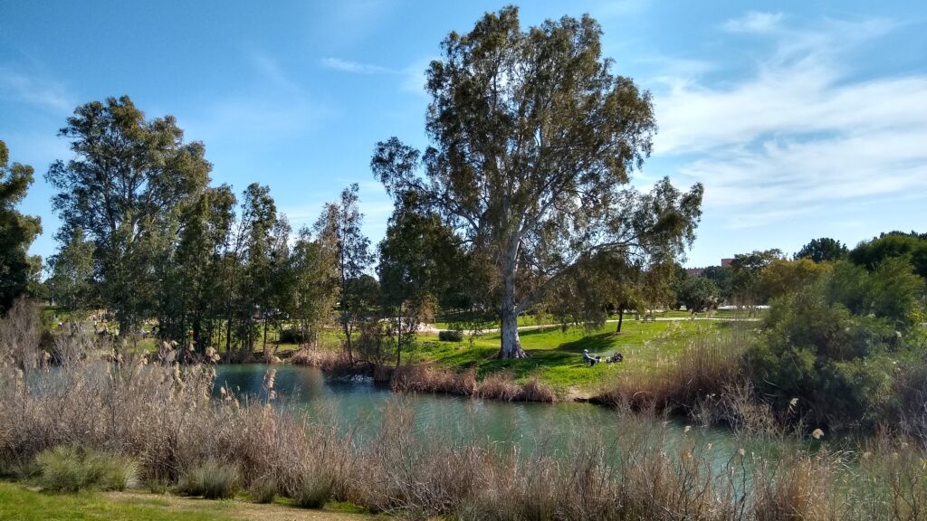Parque del Tamarguillo em Sevilha - Wikipedia