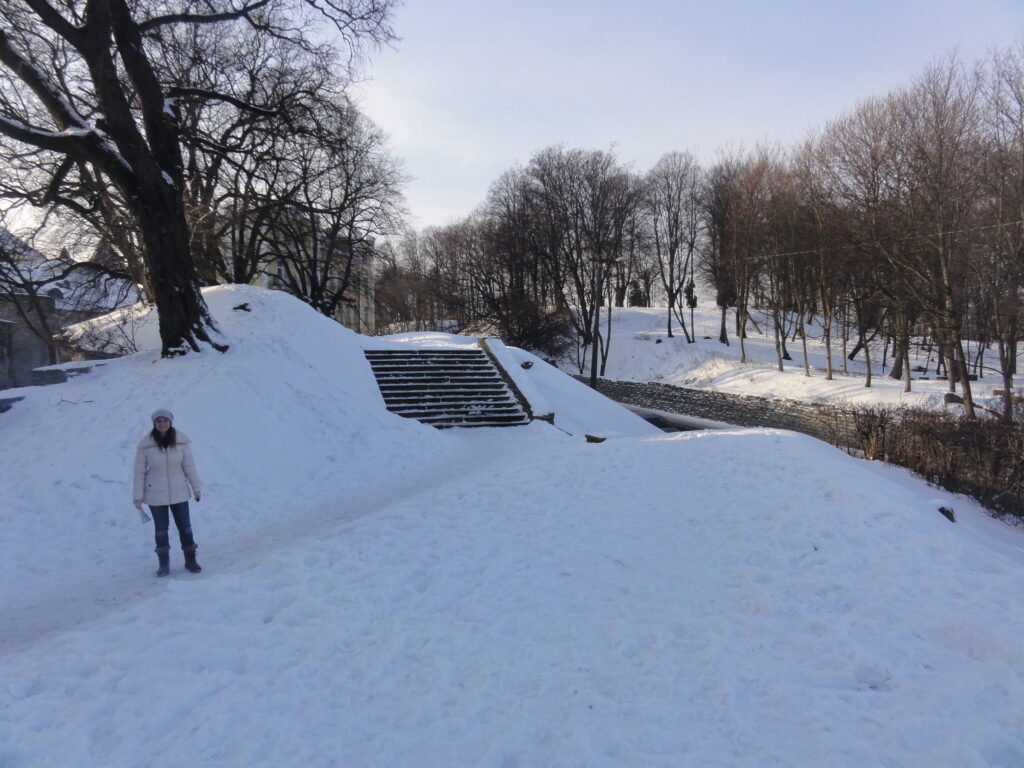 Clima de inverno na Estônia - Magu Mathias
