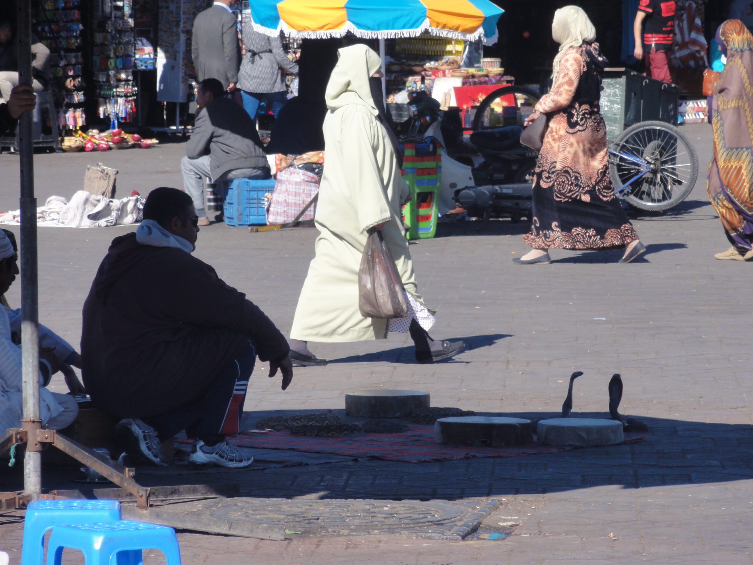 Segurança no Marrocos: encantadores de cobras em Marrakech - Magu Mathias