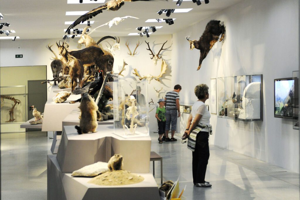 Museu Nacional de Liechtenstein - tourismus.li