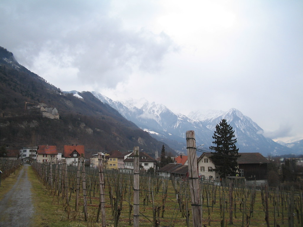 Vinicola do Principe de Liechtenstein - Flickr