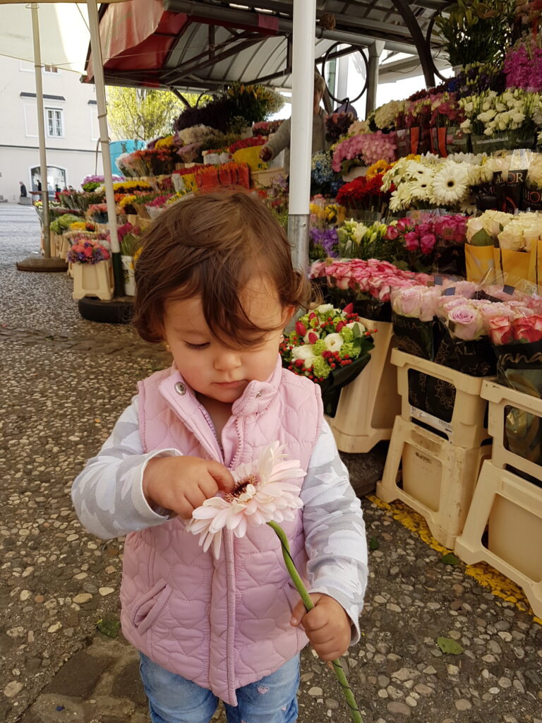 Flores no Mercado Central de Liubliana - Magu Mathias