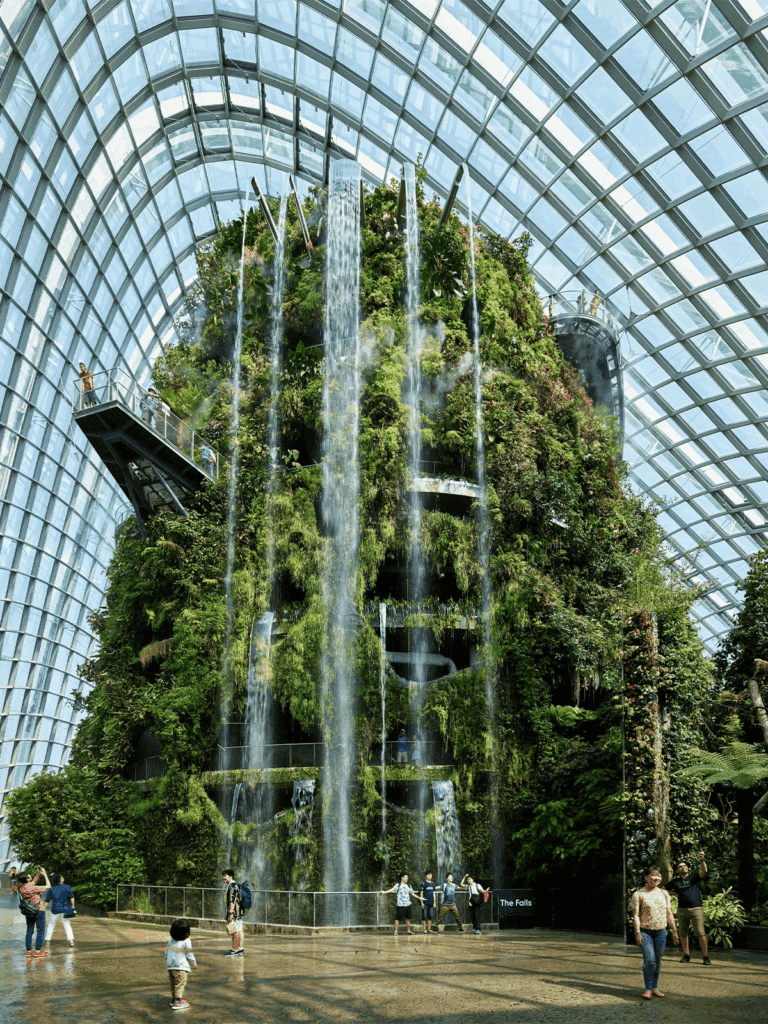 Cloud Forest - Wilkinson Eyre