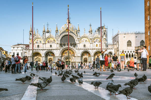 Pombos na Praça San Marco Veneza - iStock