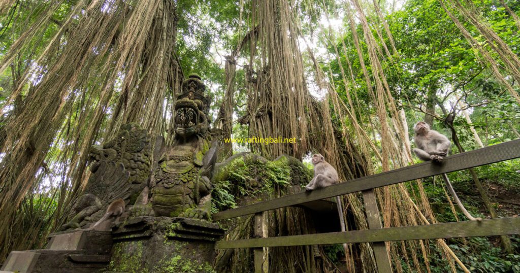 Floresta dos Macacos Ubud Bali - Wira Rafting Bali