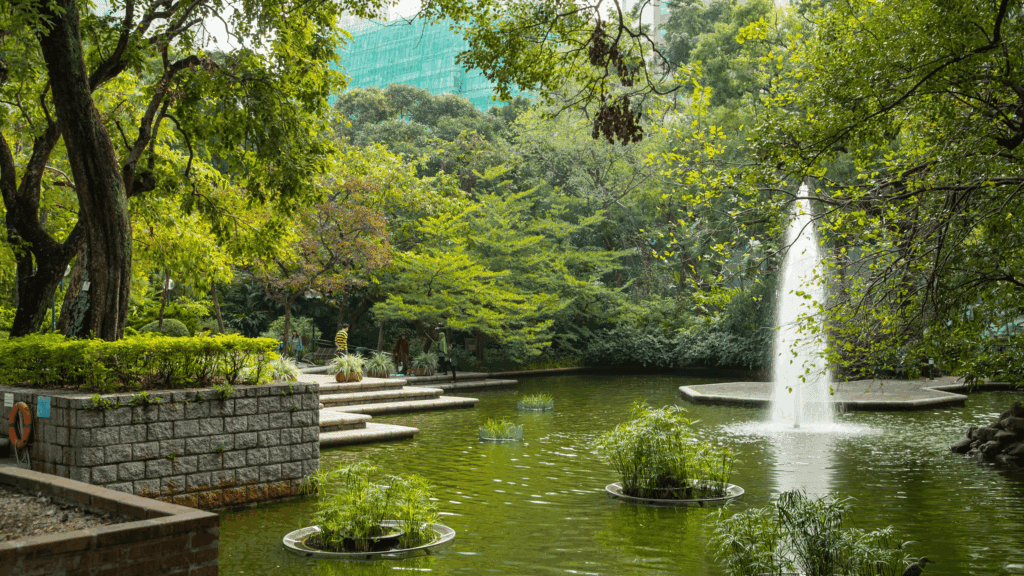 Kowloon Park Hong Kong - Expedia