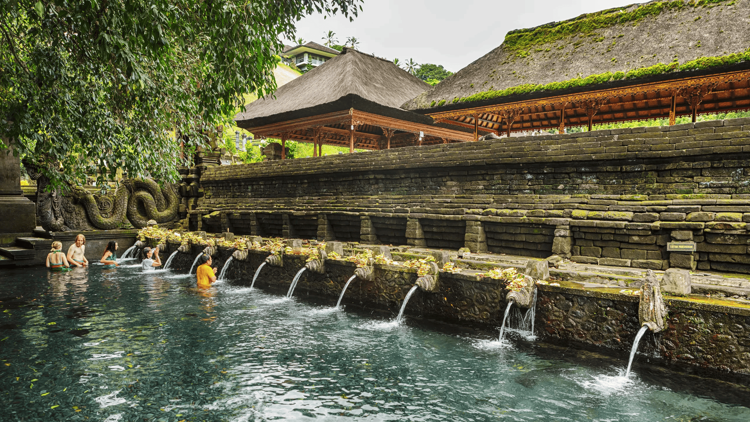 Templo Tirta Empul Bali - Magu Mathias