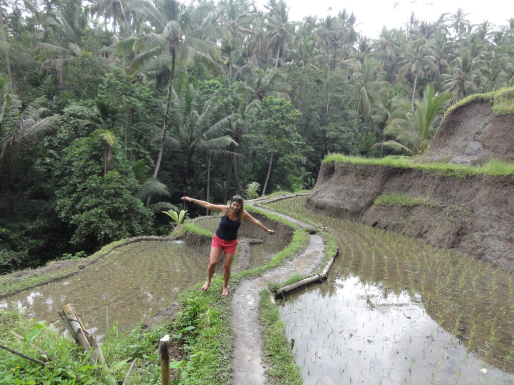 Terraços de Arroz de Tegalalang - Magu Mathias