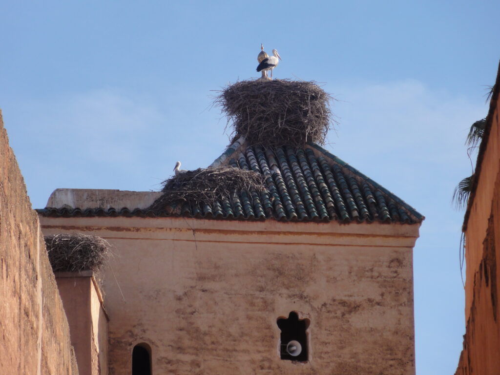 Palácio El Badi Marrakech - Magu Mathias
